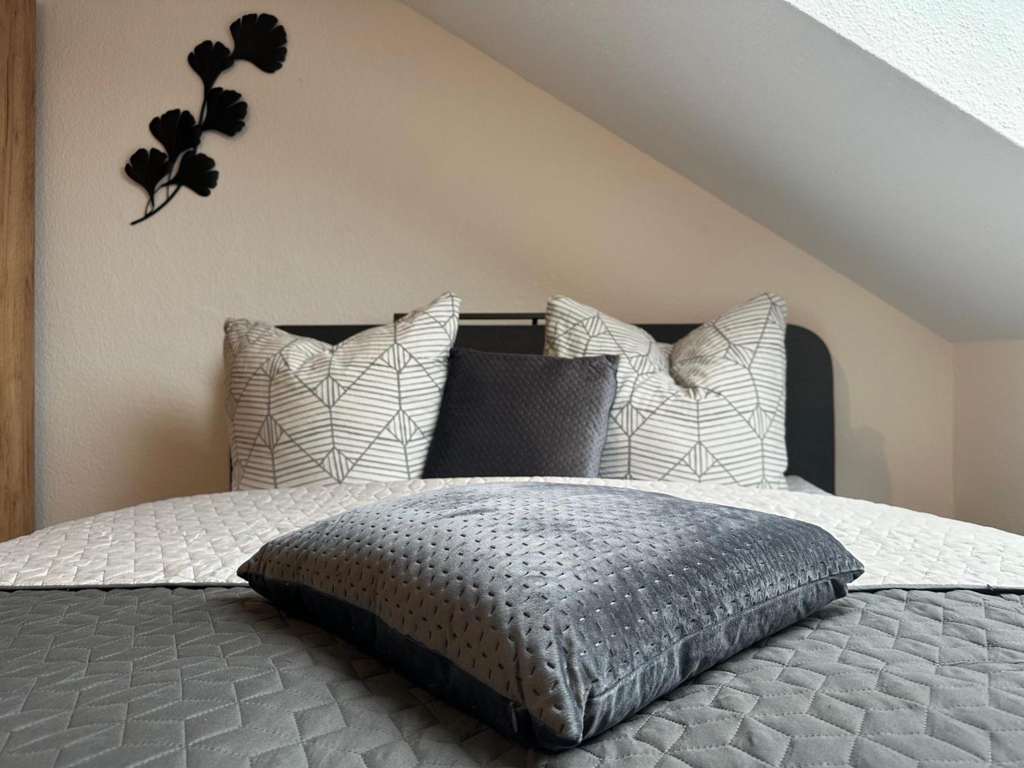 Ferienwohnung Zeitz - Weisse Elster Apartment Zewnętrze zdjęcie